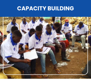 Capacity Building